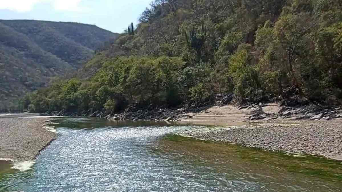 Hallan cuerpo en avanzado estado de descomposición en Tecomatlán; Fiscalía abre investigación