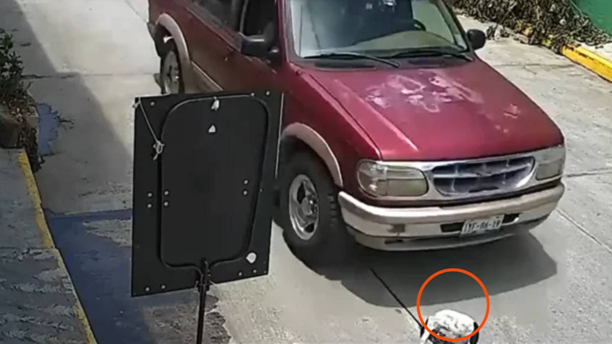Atropellan a perrito en Huejotzingo y el conductor huye; necesita cirugía urgente para no perder una pata