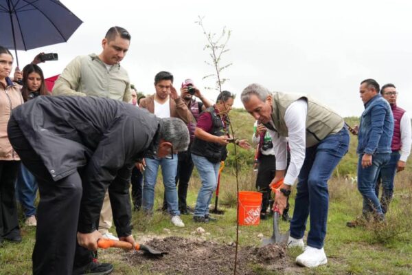 Puebla apuesta por un nuevo pulmón verde: plantarán más de 10 mil árboles en el Ecocampus BUAP