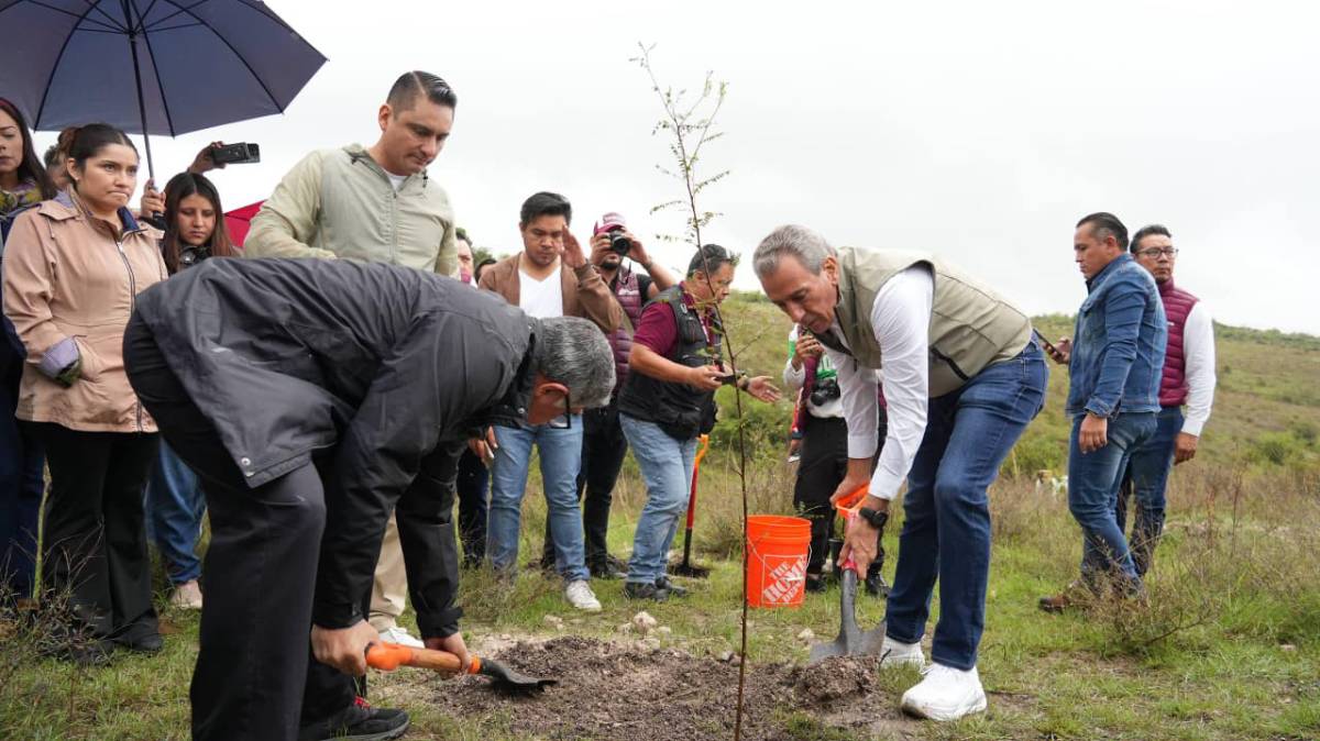 Puebla apuesta por un nuevo pulmón verde: plantarán más de 10 mil árboles en el Ecocampus BUAP