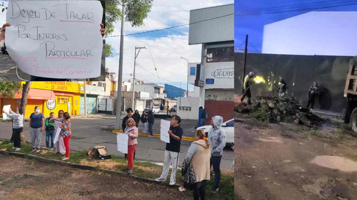 Vecinos denuncian presunta tala de árboles en Boul