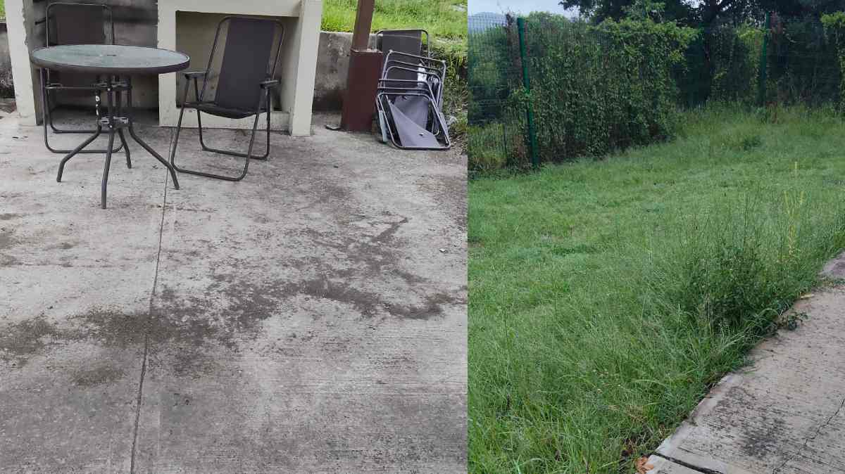 Vecinos del fraccionamiento Bosques del Pedregal d