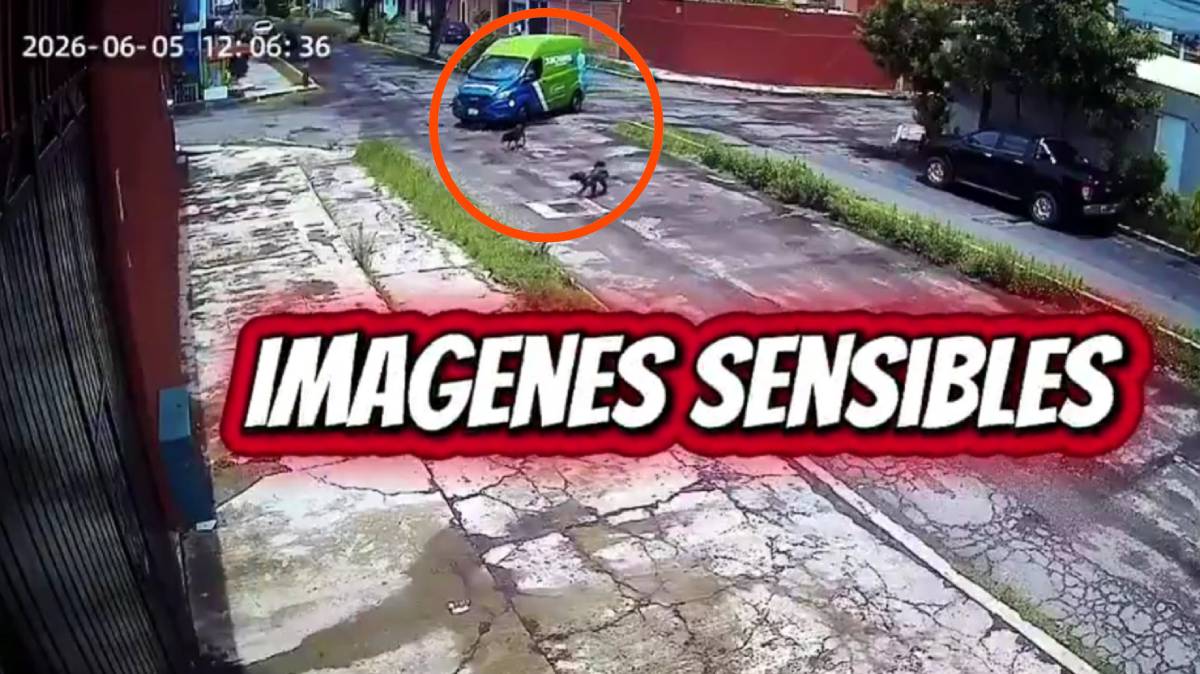 Piden explicaciones a Junghans tras video de perrito atropel