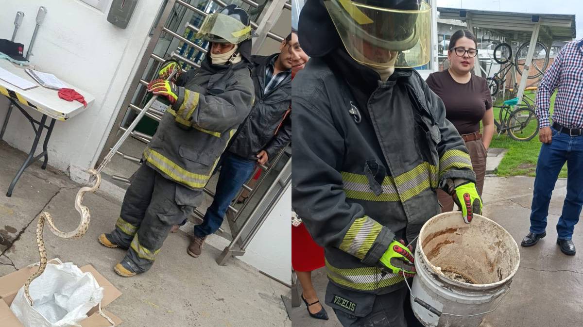 Una inesperada visitante en La Ciénega: Bomberos d