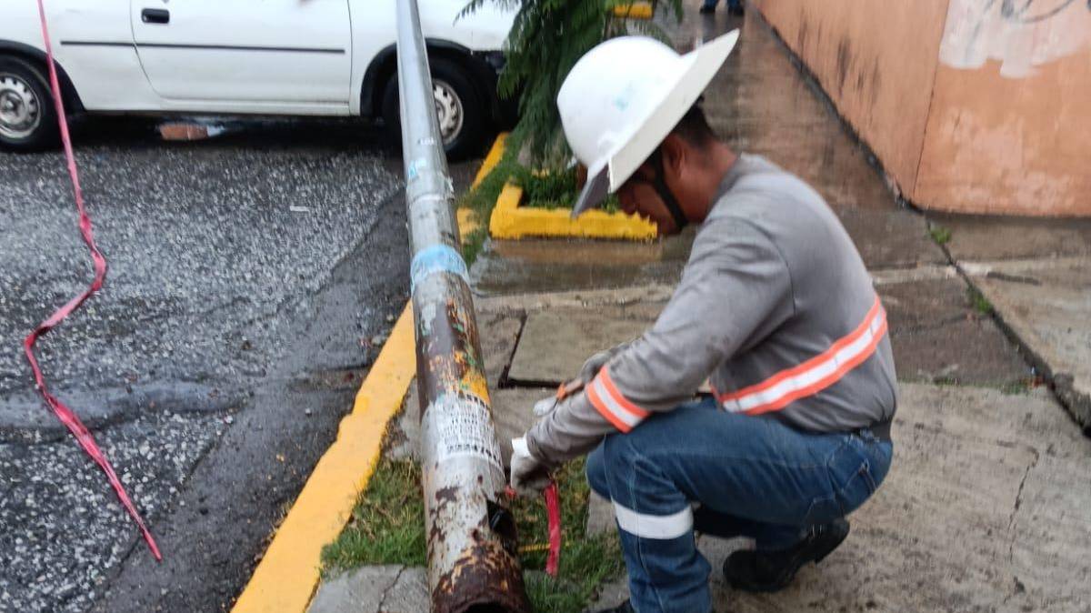 Lluvias golpean Puebla con árboles caídos y enchar