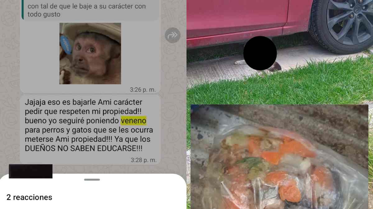“Seguiré poniendo veneno”: alarma en San Patricio II tras aparición de un gato sin vida