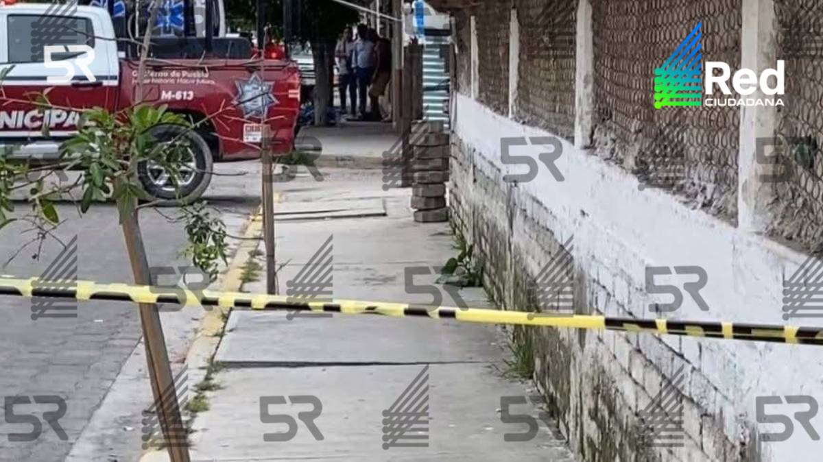 Hallan sin vida a una persona en calles de Tehuacán; vecinos alertaron tras verla inmóvil junto a un árbol