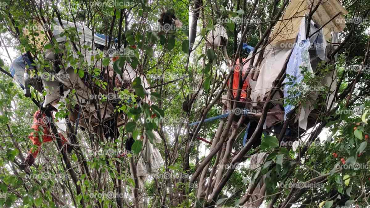 Habitaban refugios improvisados en árboles junto al Periférico; vecinos lograron su retiro en Puebla