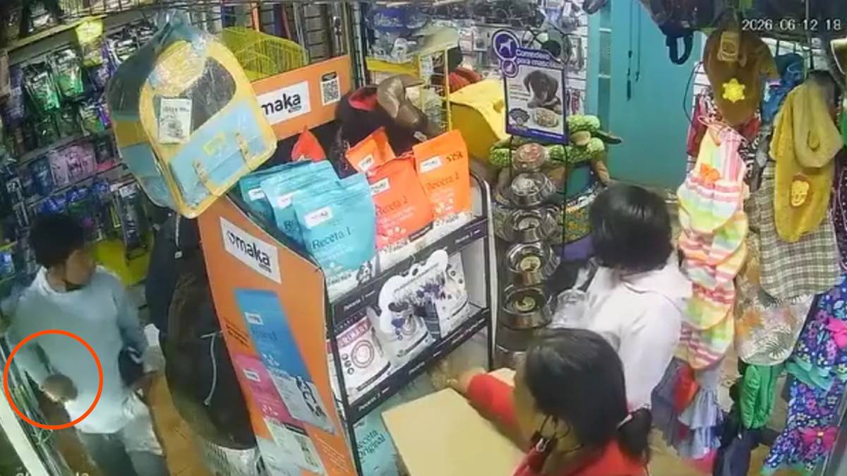 Cámaras captan robo insólito: niño se lleva tortuga de veterinaria en Chalchicomula