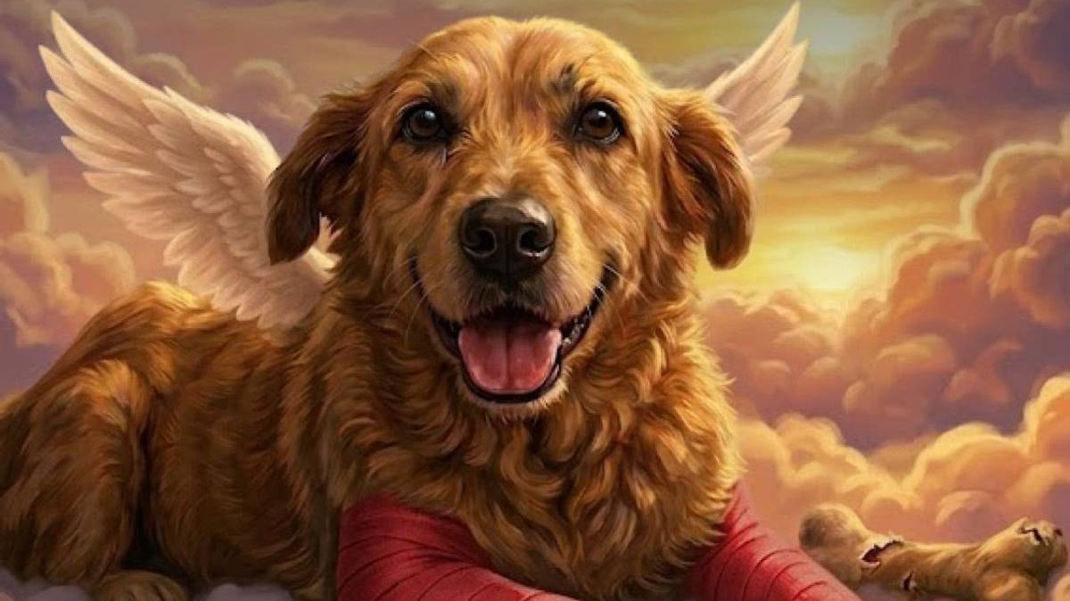 Del caso “Huesitos” a una nueva ley en Puebla: impulsan padrón de agresores de animales tras histórica sentencia