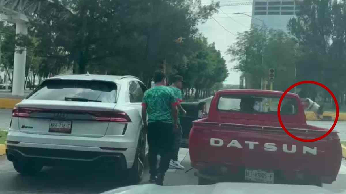 Captan agresión contra conductor en Boulevard del Niño Poblano; su perro escapó en medio de la pelea