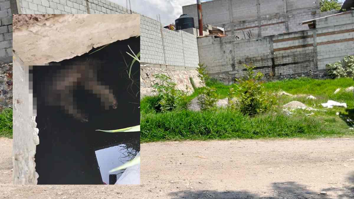 Indignación en Santa Catarina: una cisterna abierta habría causado la muerte de un perrito; vecinos temen otra tragedia