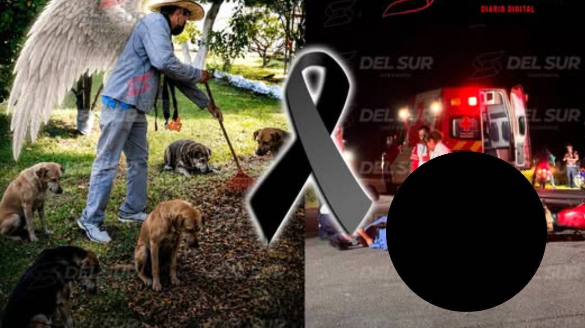 La historia detrás de unas croquetas sobre el asfalto: muere Gabo, el velador de ICATEP que alimentaba perros callejeros