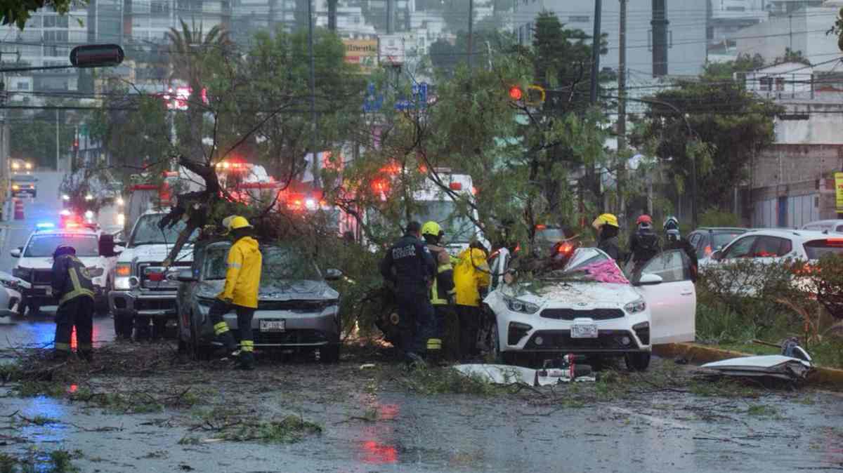 Muere una mujer tras la caída de un árbol sobre un automóvil en la Recta a Cholula; dos familiares sobrevivieron