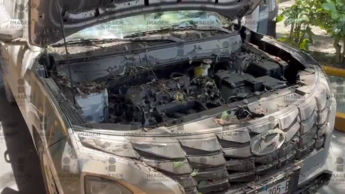 Siguen retirando vehículos del estacionamiento inundado en Paseo San Francisco; algunos serían pérdida total