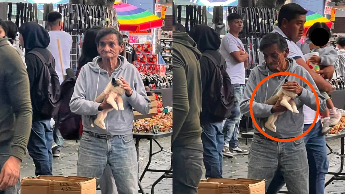 Denuncian venta de cachorros en pleno Centro de Puebla; ciudadanos piden intervención de las autoridades