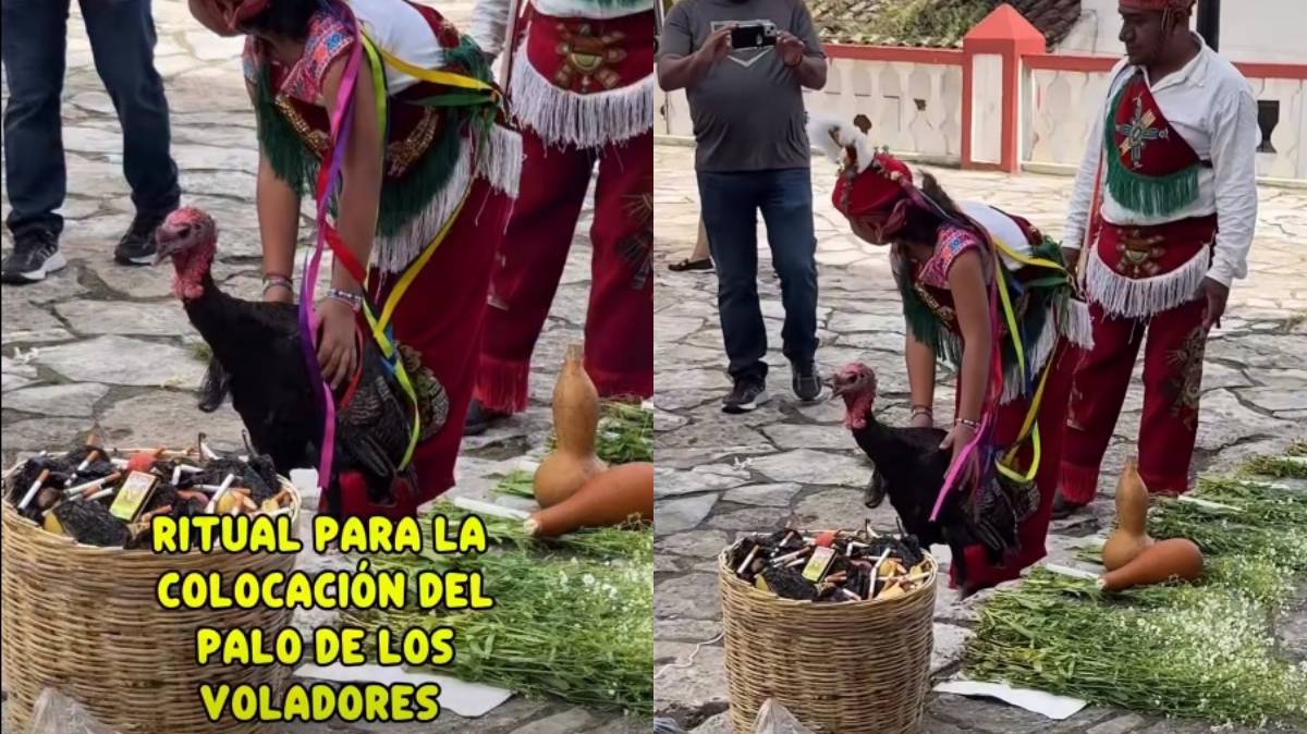 Crueldad en Cuetzalan: guajolote aplastado en ritual del palo de voladores