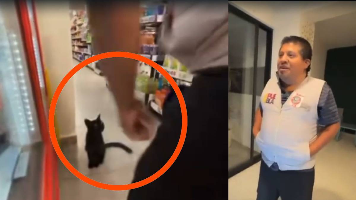 Tiktokers poblanos ElCapibara y @PueblaTV son señalados de maltrato animal contra un gato en un Oxxo en Acapulco