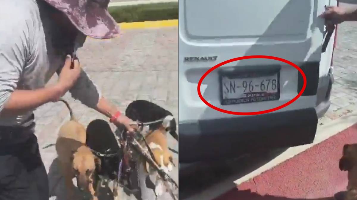 Exhiben a paseador de perros por patear lomitos en Lomas de Angelópolis