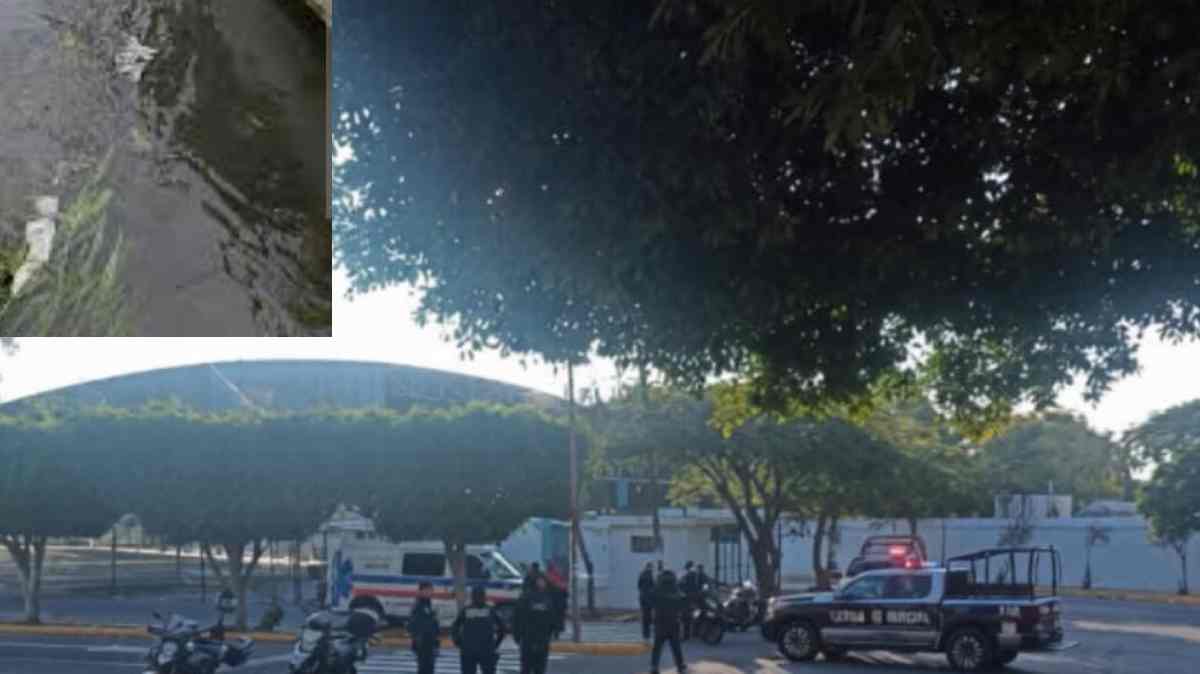 Hallan sin vida a velador flotando en un embalse de agua en Zinacatepec; Fiscalía investiga el caso