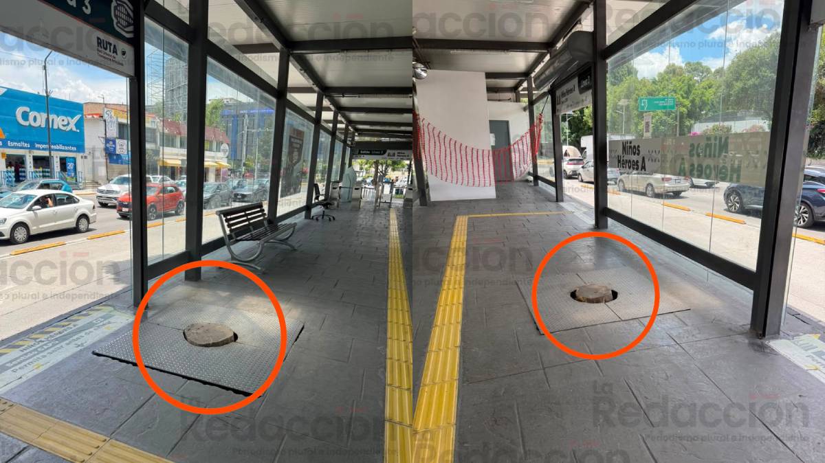 Desaparecen los árboles de la estación Niños Héroes de RUTA Puebla; usuarios cuestionan el retiro de la vegetación
