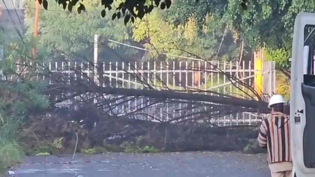 Lluvias derriban árboles y un poste en la 5 Sur; continúa cerrado el paso por trabajos de la CFE en Puebla