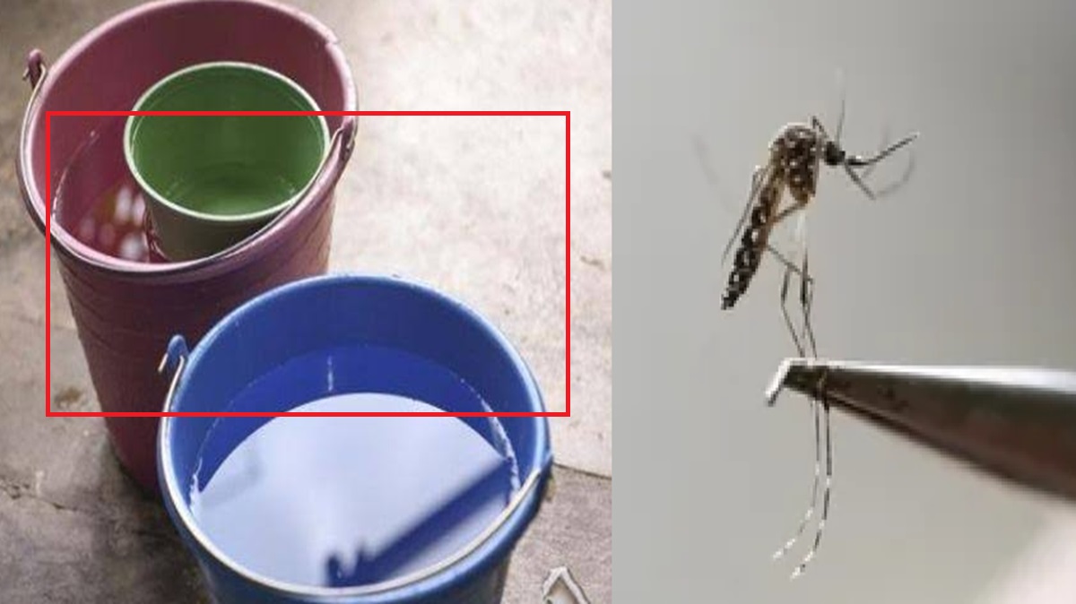 Dengue en Puebla: 17 casos confirmados y dos fallecimientos bajo investigación