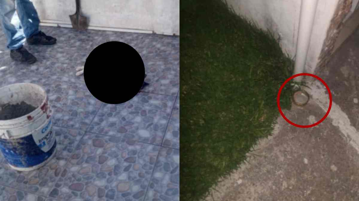 Envenenan mascotas en Bosques de San Sebastián; vecinos denuncian posible uso de alimento contaminado
