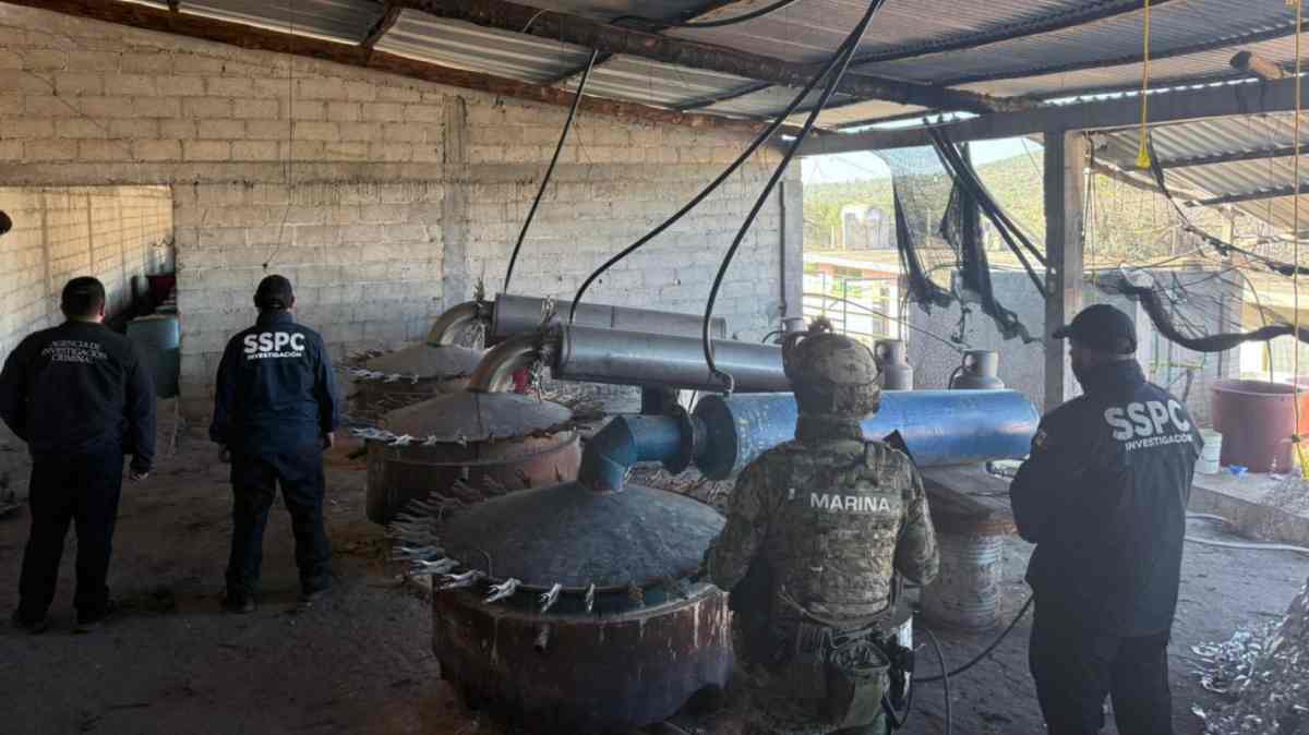 Aumenta a seis la cifra de directores de Seguridad Pública detenidos por presunto encubrimiento de narcolaboratorios en Puebla