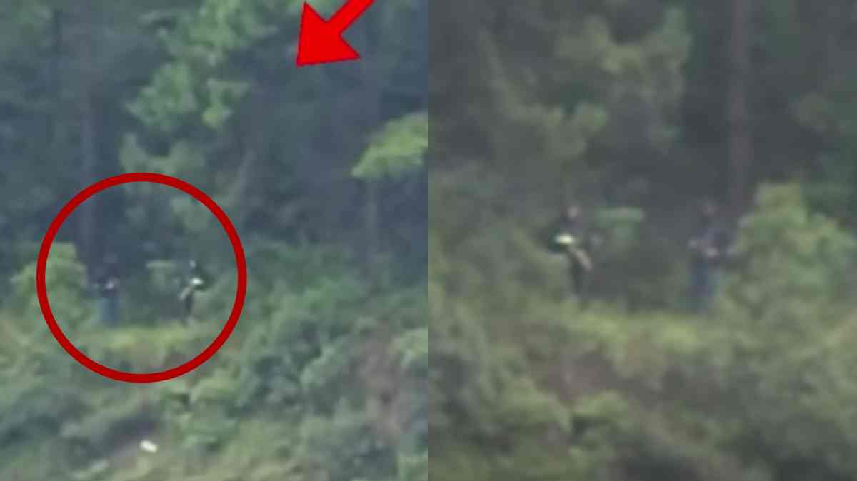 Video genera alerta en la autopista Puebla-Orizaba; transportistas reportan a hombres armados ocultos entre árboles