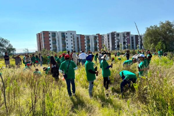 Mil árboles para rescatar el Cerro de Amalucan: Puebla acelera la restauración de uno de sus principales pulmones verdes