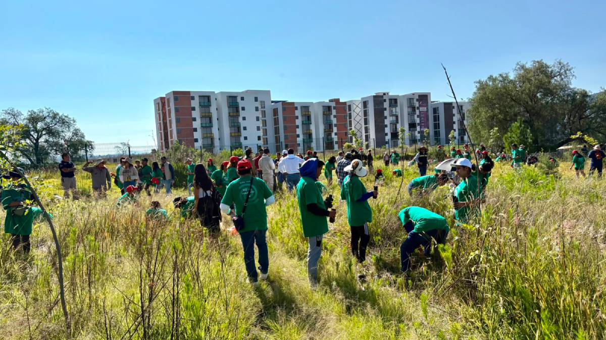 Mil árboles para rescatar el Cerro de Amalucan: Puebla acelera la restauración de uno de sus principales pulmones verdes