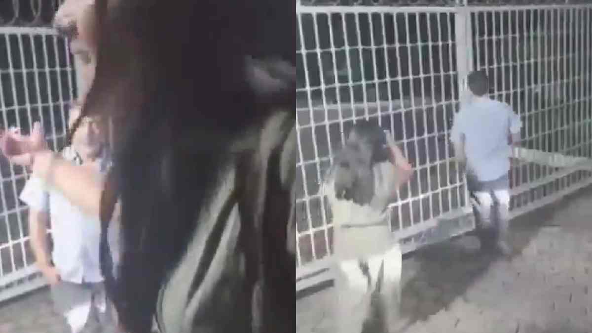 “¡Dame las llaves!”: residente de Lomas de Angelópolis confronta a guardia de seguridad