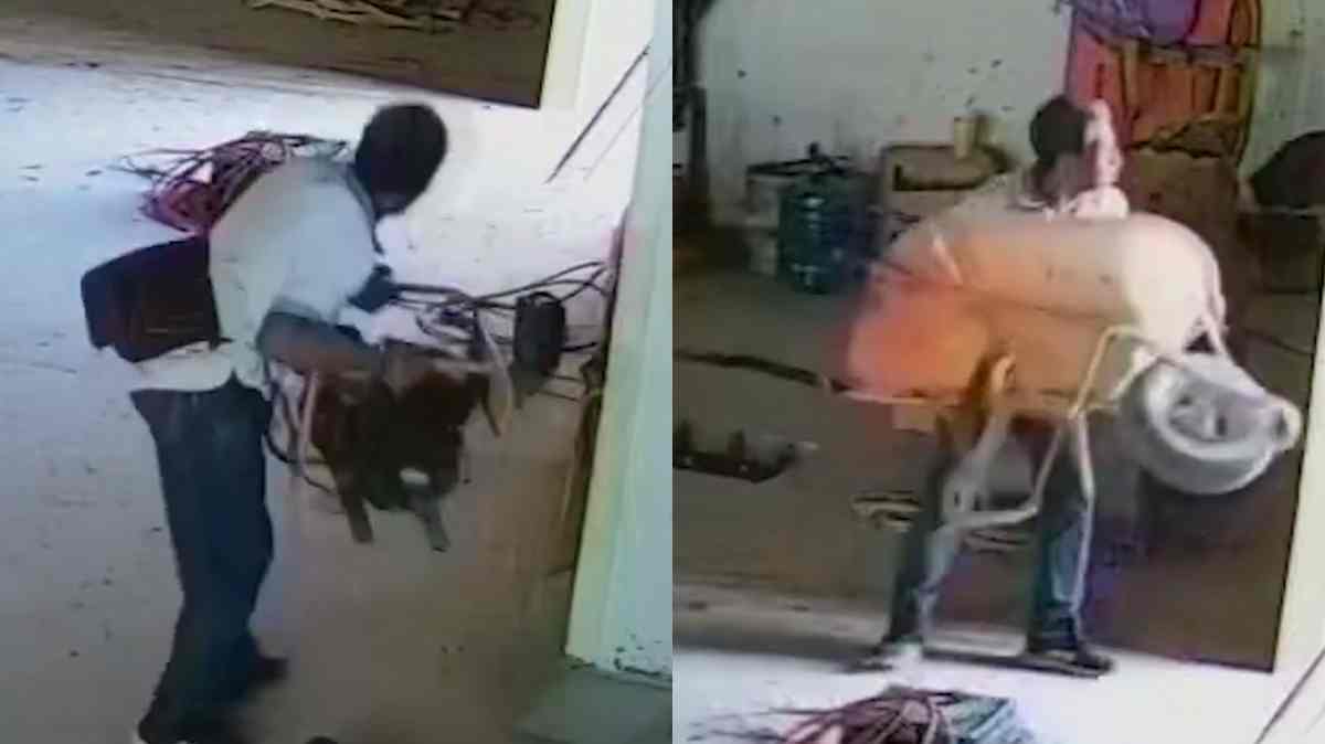 Video exhibe robo en obra de la Vía Atlixcáyotl; ofrecen recompensa para identificar al presunto responsable