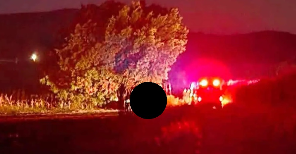 Hallan sin vida a abuelito dentro de una camioneta en cañaverales de Puebla