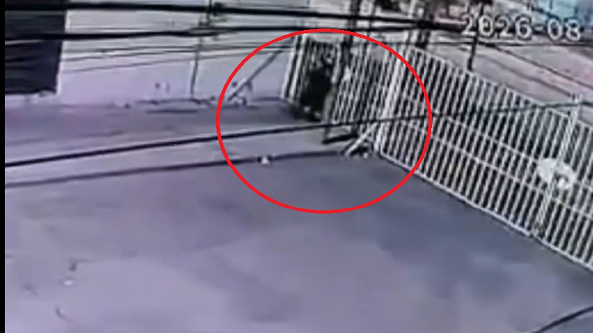 ¡Ya ni los portones se salvan! Cámaras capturan insólito robo de una puerta completa en Amalucan