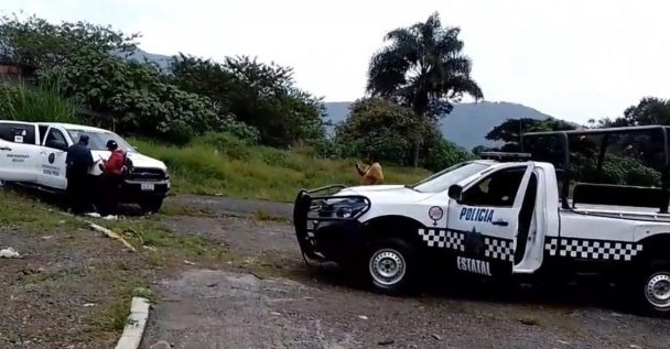 Alerta sanitaria: Roban cargamento de medicamento en la ruta Puebla-Veracruz; Senasica advierte riesgo de alteración
