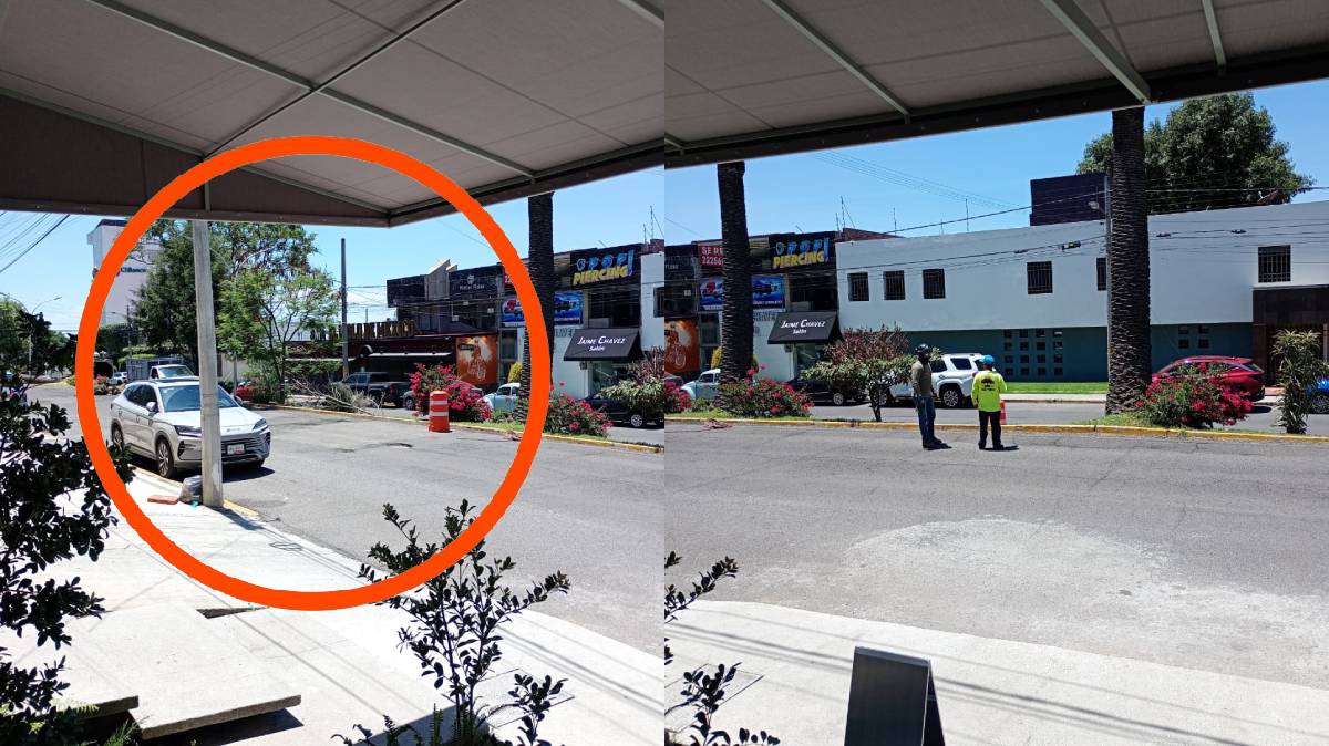 Vecinos de La Paz alertan por corte de árboles y palmeras; piden intervención de autoridades en Puebla