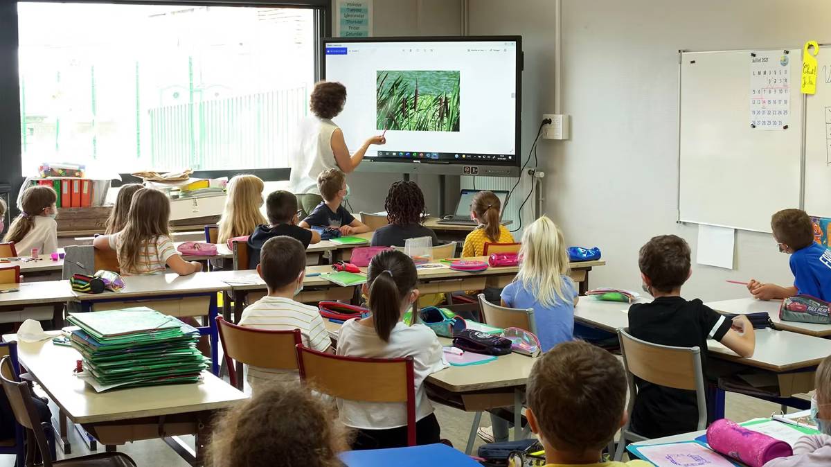 México retrocede en PISA 2025: cae 7 puntos en matemáticas y lectura, mientras ciencias apenas mejora