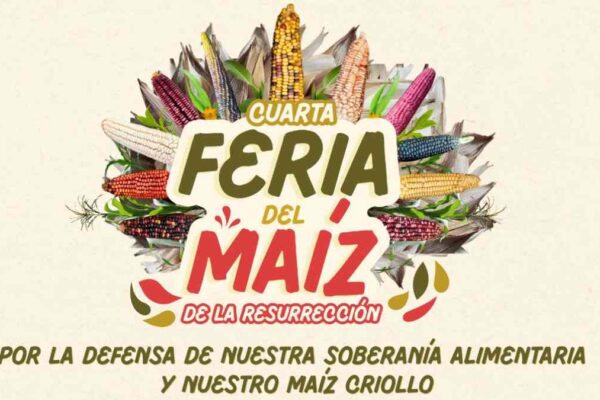 La Resurrección se prepara para celebrar al maíz con cultura, tradición y saberes de Puebla y Tlaxcala