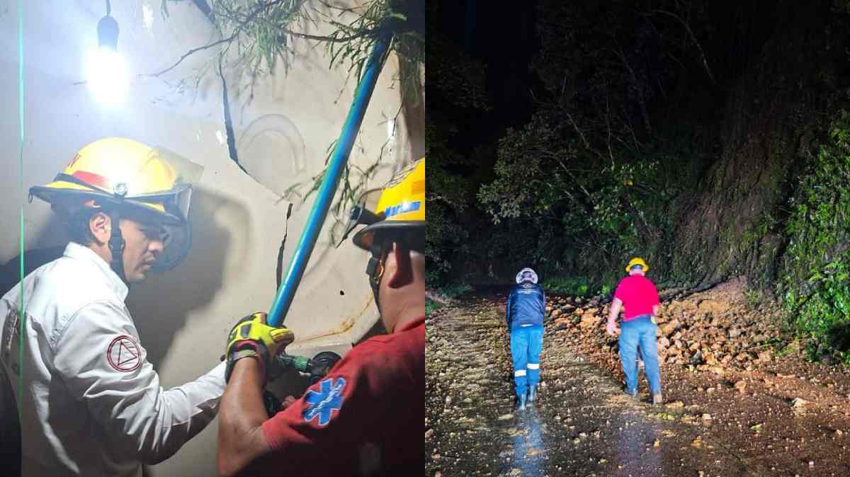 Lluvias de Polo dejan daños en viviendas, deslaves y caída de árbol en Puebla