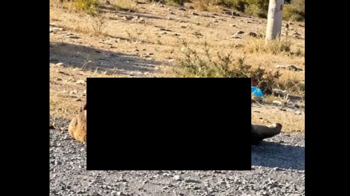 Terror en la Tehuacán-Orizaba: Hallan cuerpo encobijado y con huellas de violencia en Nicolás Bravo