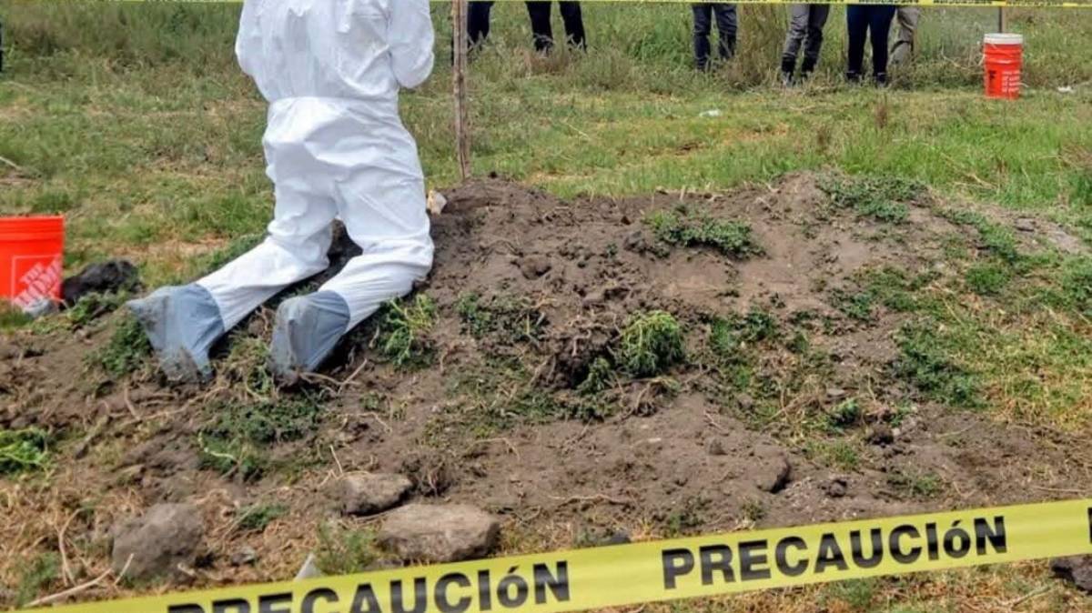 Hallan restos humanos entre cultivos de caña en Chietla; Fiscalía de Puebla investiga