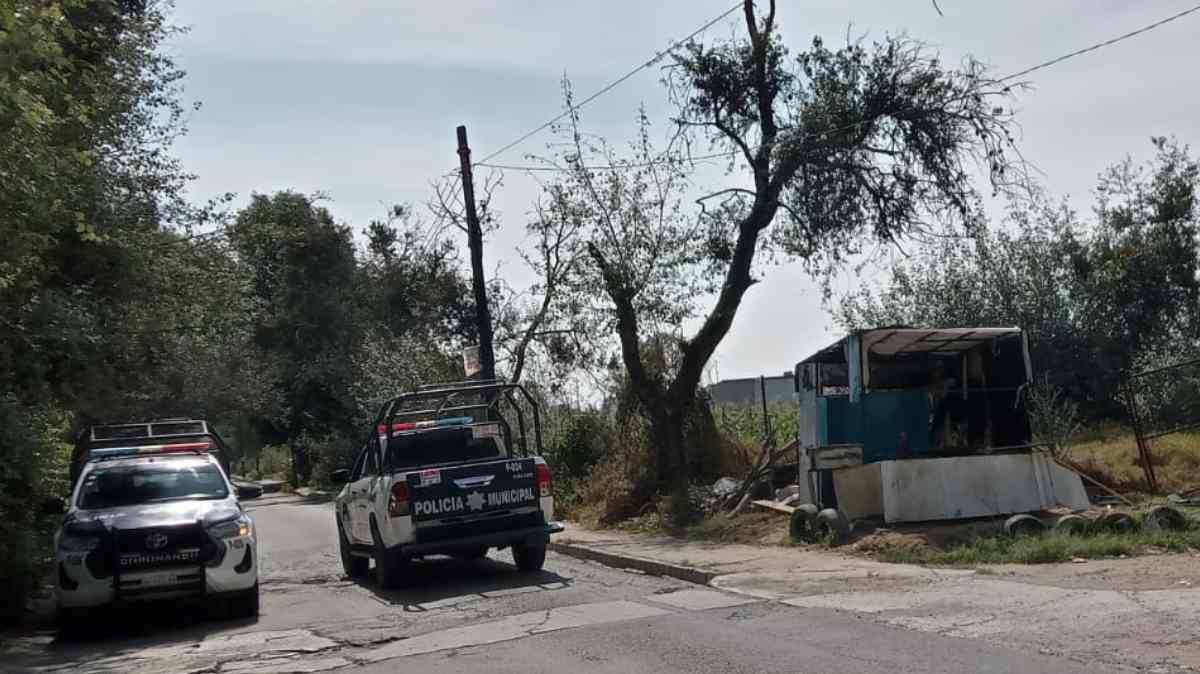 “Llevo cuatro años denunciándolo”: vecino acusa obstrucción de acceso y derribo de árboles en Misiones de San Francisco