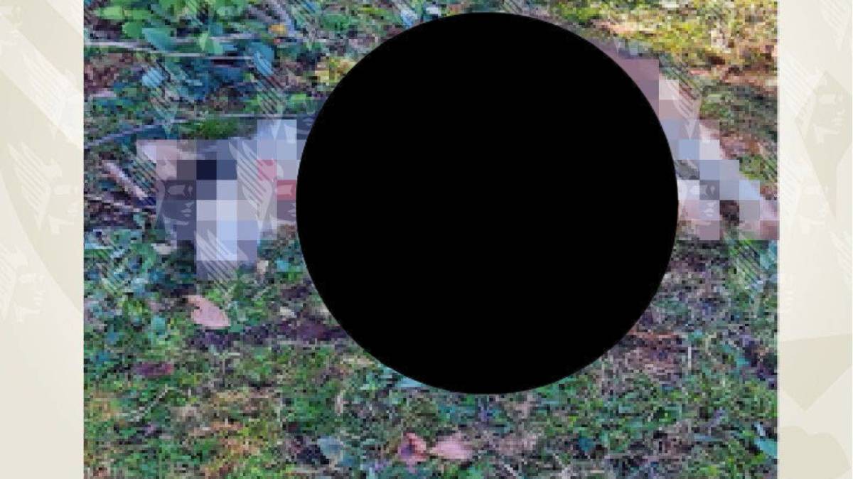 Condenan a 2 años de prisión a hombre que atacó con machete a una perrita en Zacapoaxtla