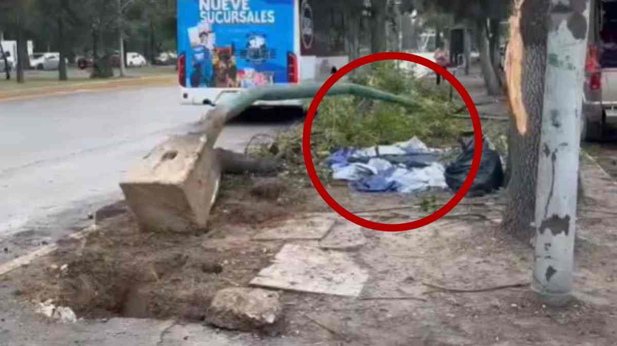 Camión se lleva poste frente al Hospital del Niño Poblano y lesiona a familia que dormía en el camellón