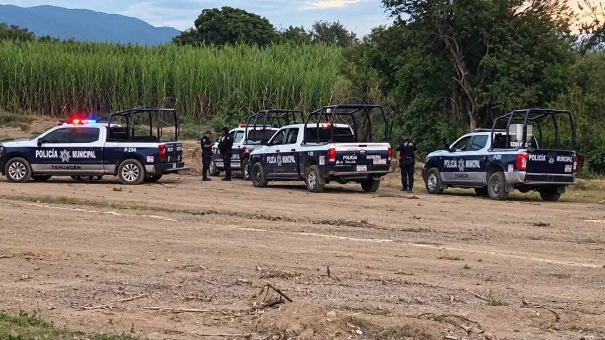 Hallan feto en terrenos de cultivo de Tehuacán; Fiscalía realiza pruebas forenses en San Diego Chalma