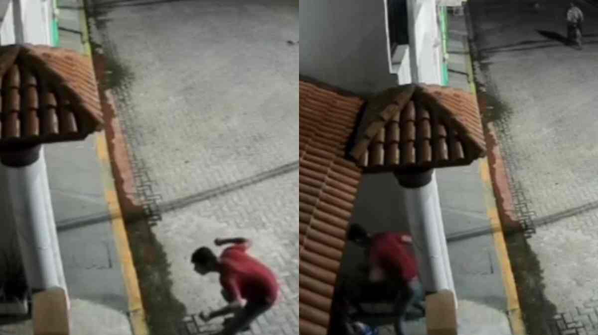 Buscan a sujeto que golpeó a un perro hasta matarlo en Acatzingo; cámaras captaron la agresión