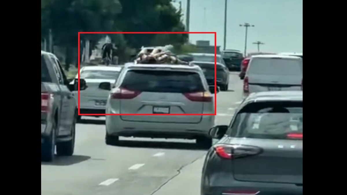 ¡Insólito y peligroso! Captan a mujeres viajando acostadas sobre el techo de una minivan en plena Vía Atlixcáyotl