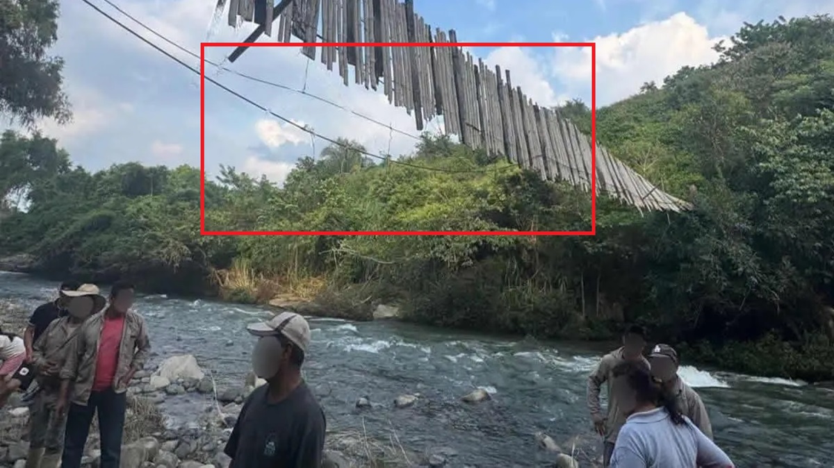 Colapsa puente colgante en Hueytamalco: Tres trabajadores de Citrofrut caen a río y terminan hospitalizados